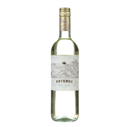 Anterra Pinot Grigio