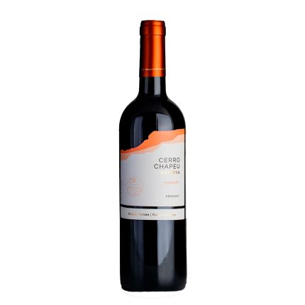 Bodegas Cerro Chapeu Tannat Reserva