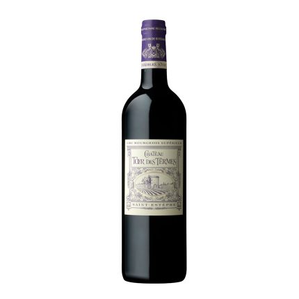 Chateau Tour Des Termes