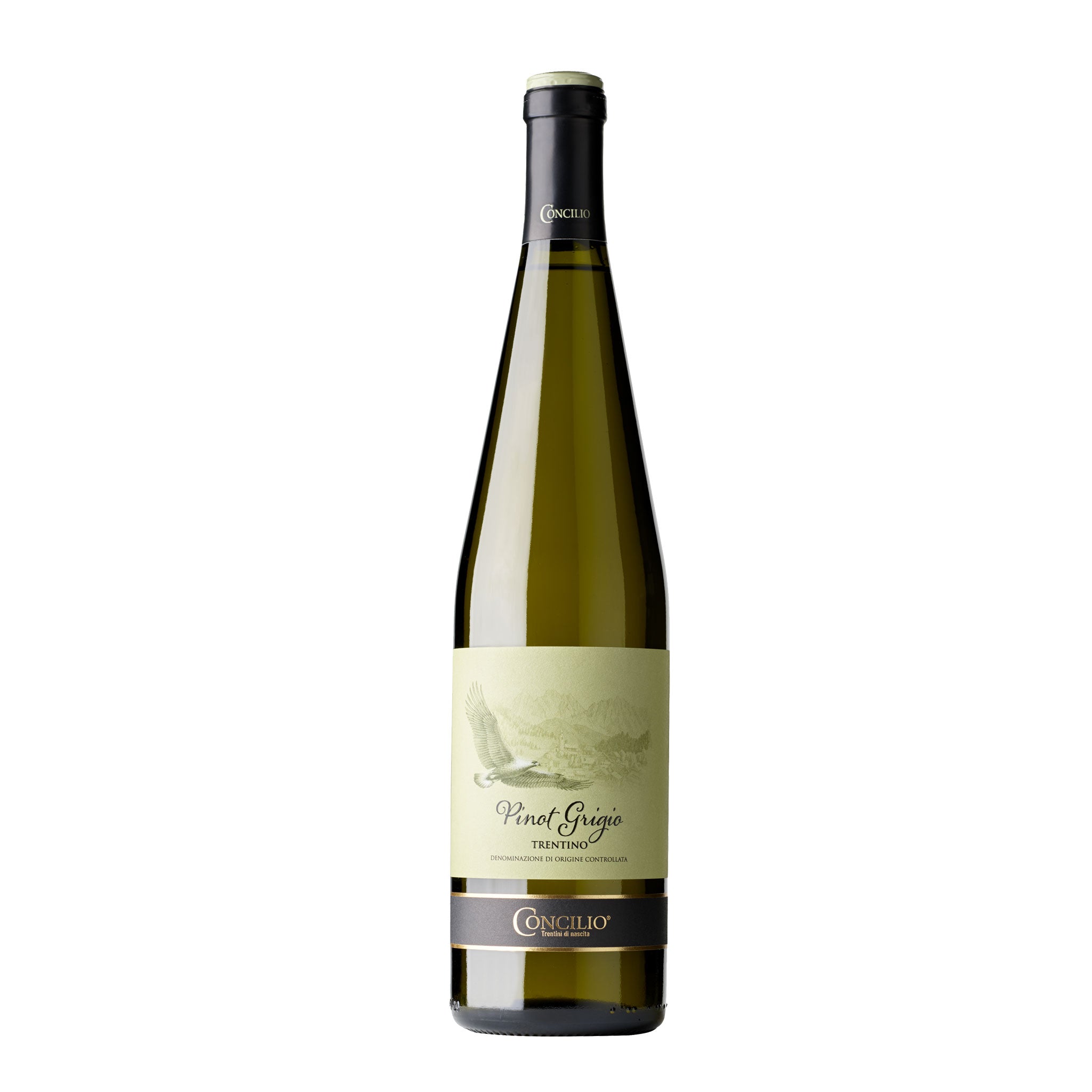 Concilio-Pinot-Grigio-Trentino Concilio Pinot Grigio Trentino - Image 1