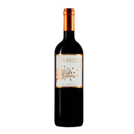 Secondo Cerchio Catturasogni Rosso